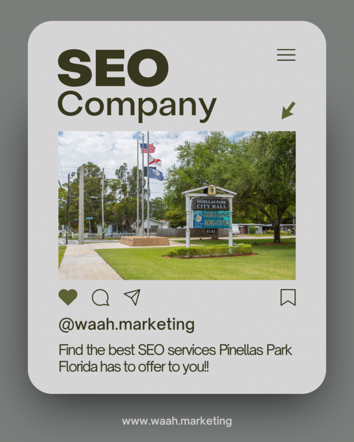 SEO company Pinellas Park FL