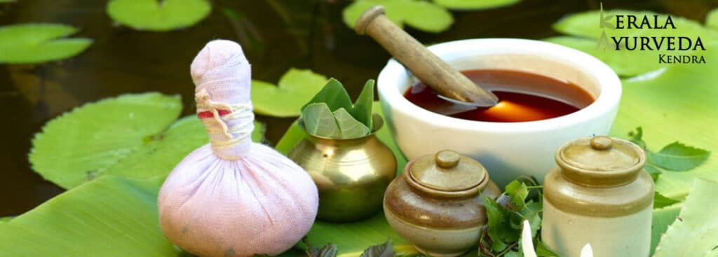 wellness spa Jaipur